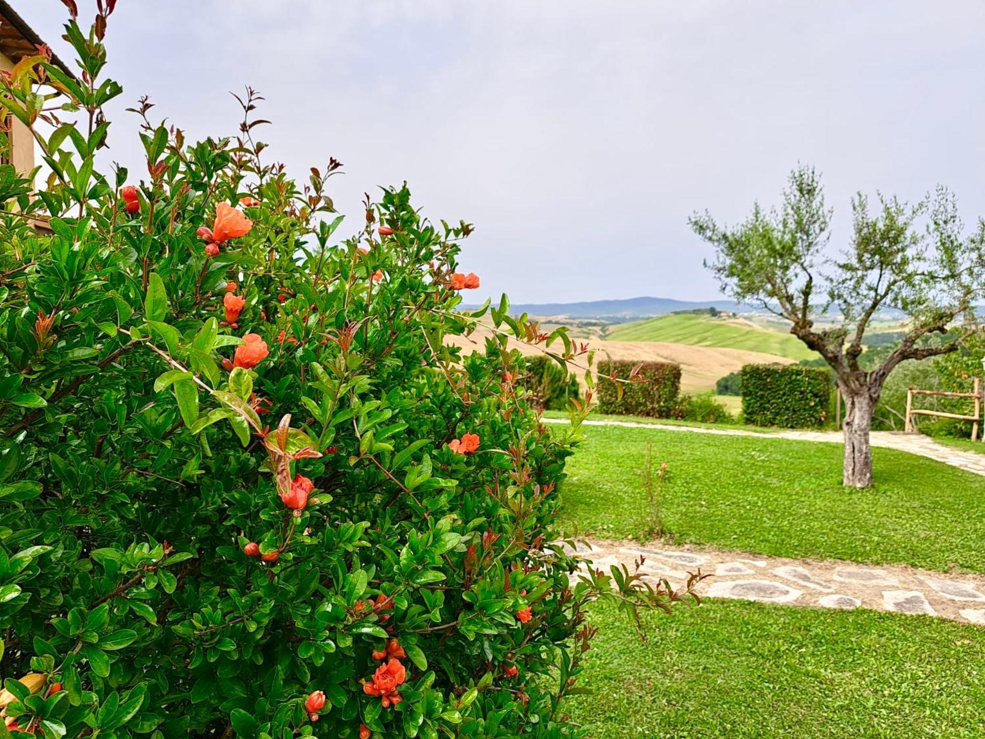 Agriturismo Caliano Asciano Buitenkant foto